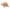 Warmies Golden retriever 1.00 Stuks