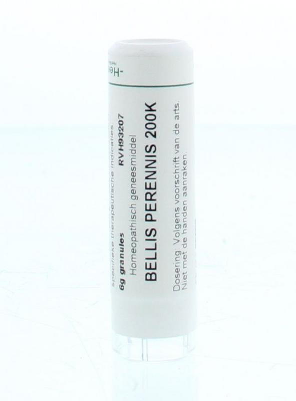 Homeoden Heel Bellis perennis 200K 6 Gram