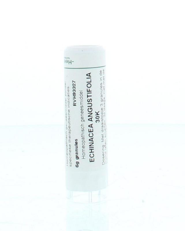 Homeoden Heel Echinacea angustifolia 30K 6 Gram