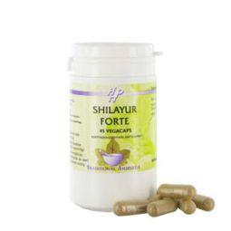 Holisan Shilayur forte 45.00 Vegetarische capsules