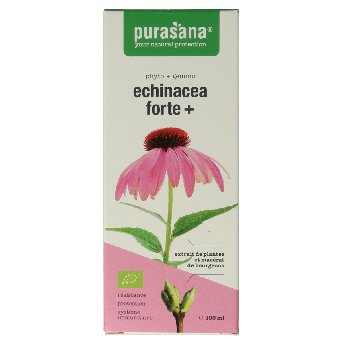 Purasana Echinacea forte + vegan bio  100.00 Milliliter