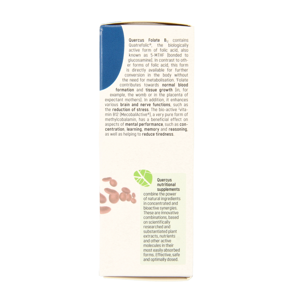 Quercus Folate B12 80.00 Tabletten