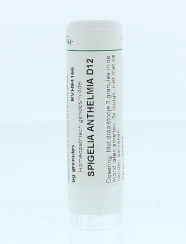 Homeoden Heel Spigelia anthelmia D12 6 Gram