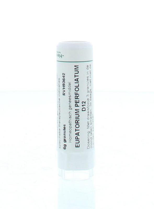 Homeoden Heel Eupatorium perfoliatum D12 6 Gram