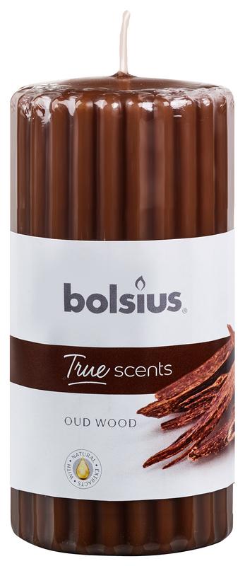 Bolsius True Scents stompkaars geur 120/58 old wood 1 Stuks