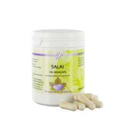 Holisan Salai 100.00 Vegetarische capsules