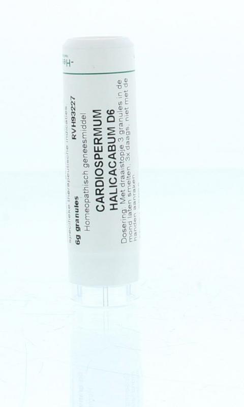 Homeoden Heel Cardiospermum halicacabum D6 6 Gram