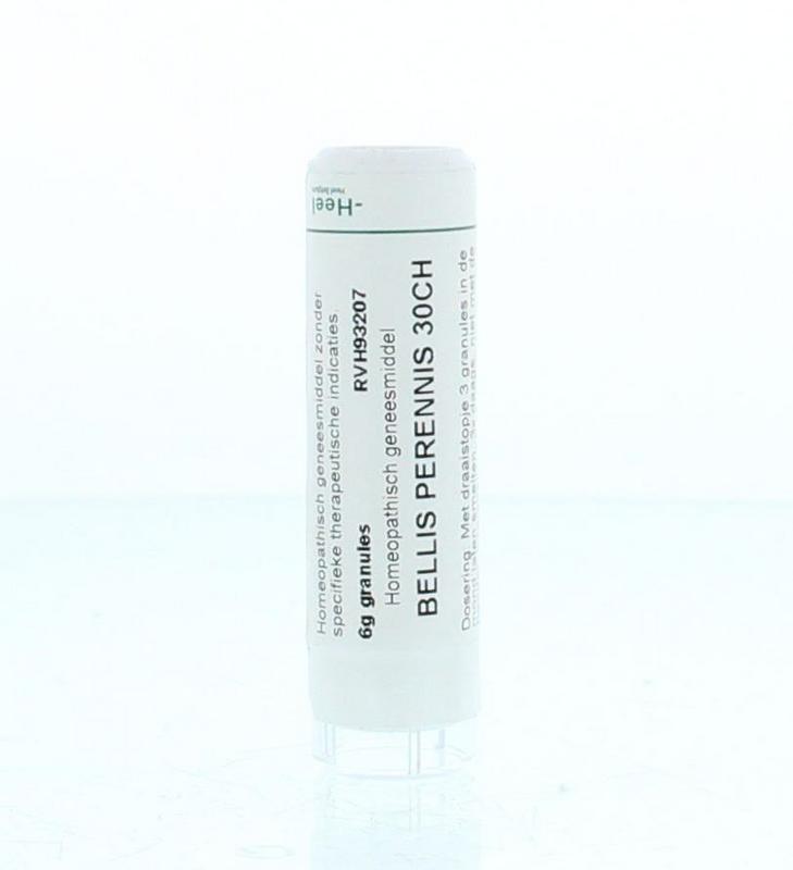 Homeoden Heel Bellis perennis 30CH 6 Gram