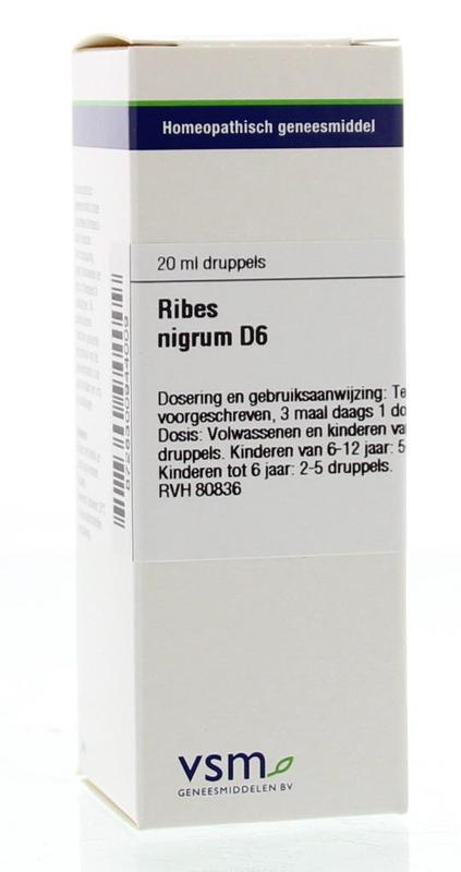 VSM Ribes nigrum D6 20 Milliliter