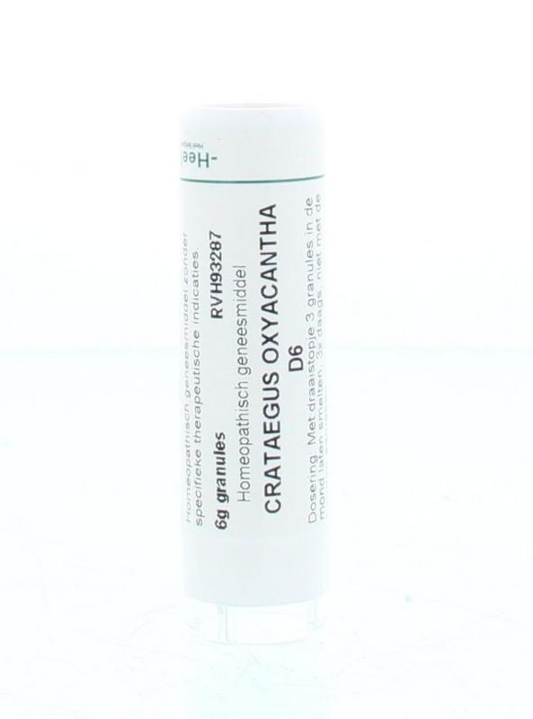 Homeoden Heel Crataegus oxyacantha D6 6 Gram