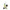 Chi Tea tree (eerste hulp) bio 100.00 Milliliter
