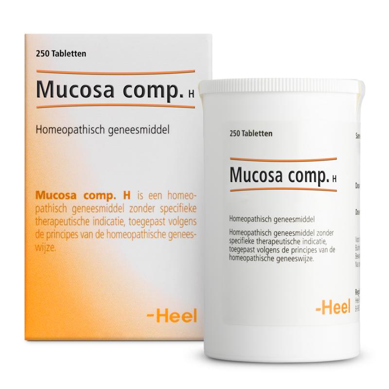 Heel Mucosa compositum H 250 Tabletten