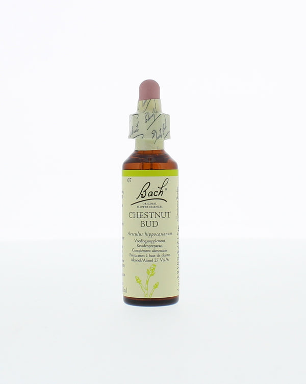Bach Chestnut bud/kastanjeknop 20.00 Milliliter