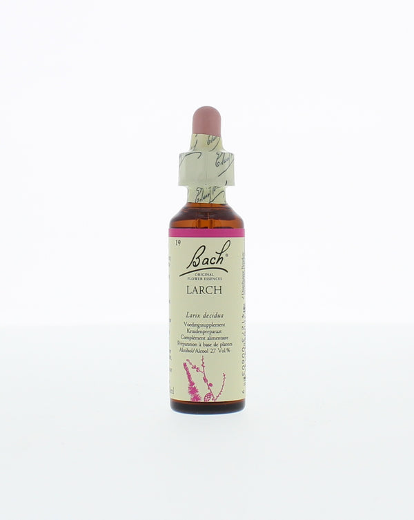 Bach Larch/lariks 20.00 Milliliter