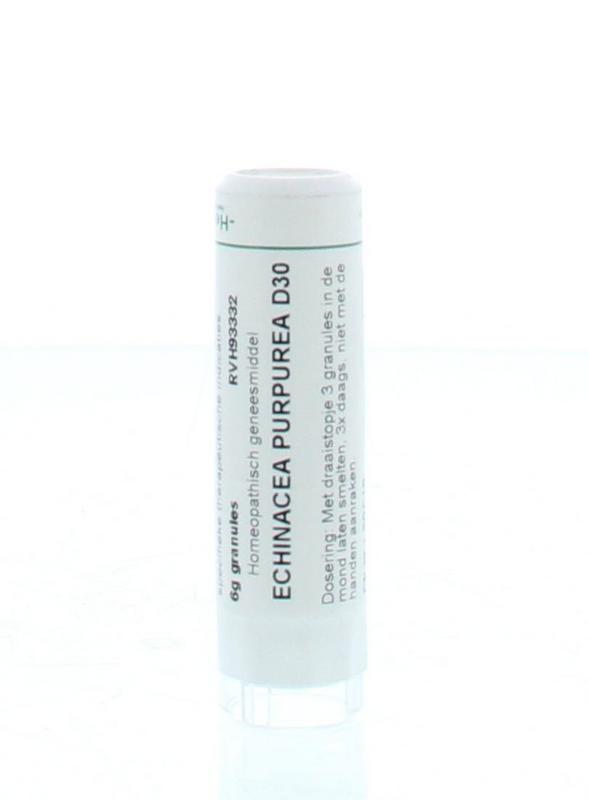 Homeoden Heel Echinacea purpurea D30 6 Gram