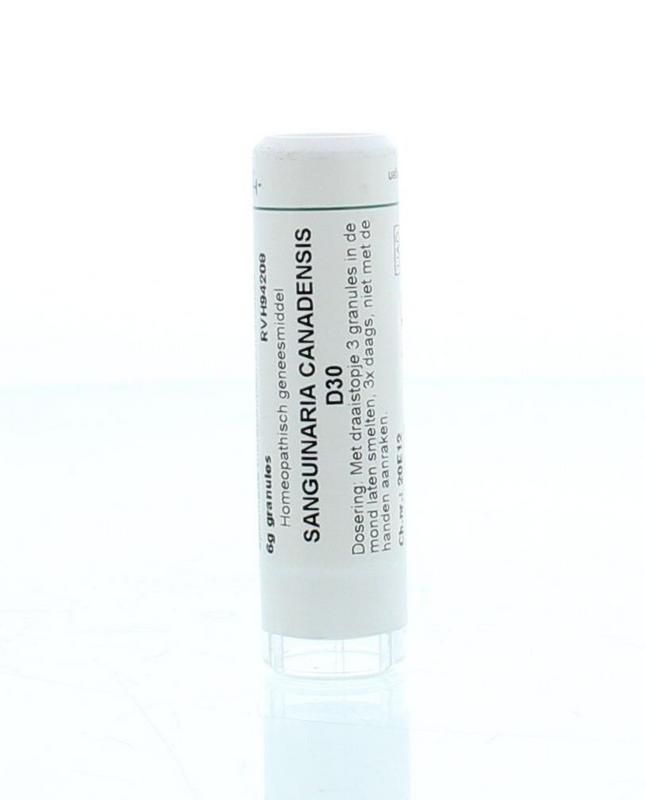 Homeoden Heel Sanguinaria canadensis D30 6 Gram