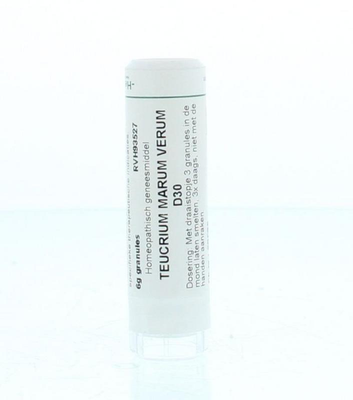 Homeoden Heel Teucrium marum verum D30 6 Gram