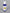 Vita CZS 48 Palmitoylethanolamide 30.00 Milliliter