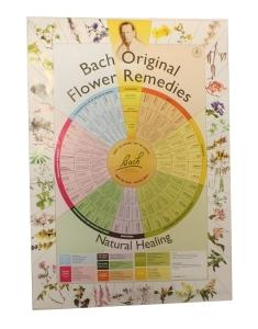 Bach Remedies poster A2 1 Stuks