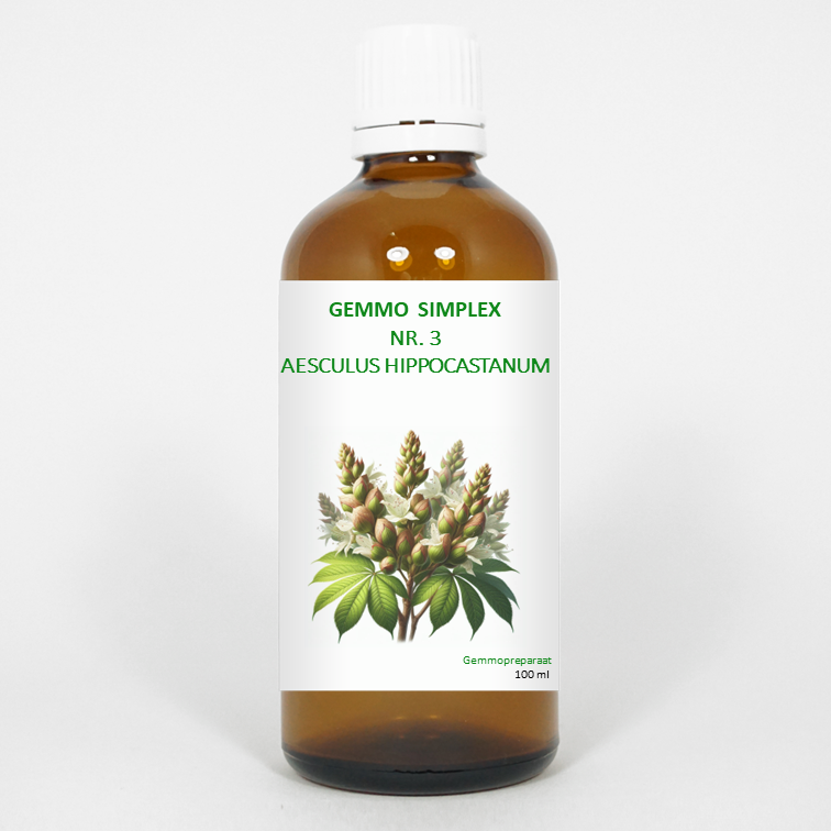 Balancepharma Gemmo simplex 3 aesculus hippocastanum 100 Milliliter