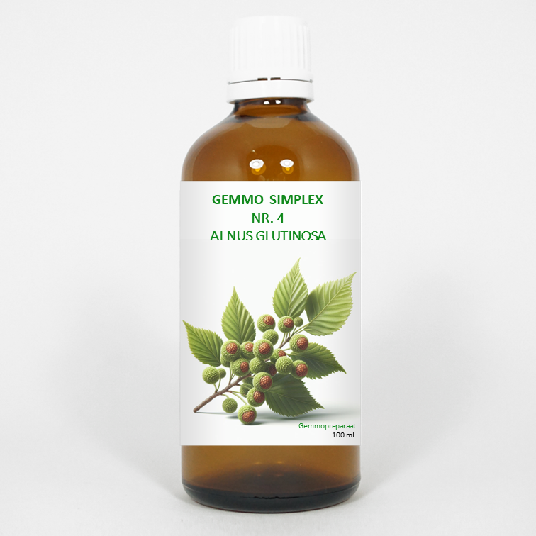 Balancepharma Gemmo simplex 4 alnus glutinosa 100 Milliliter
