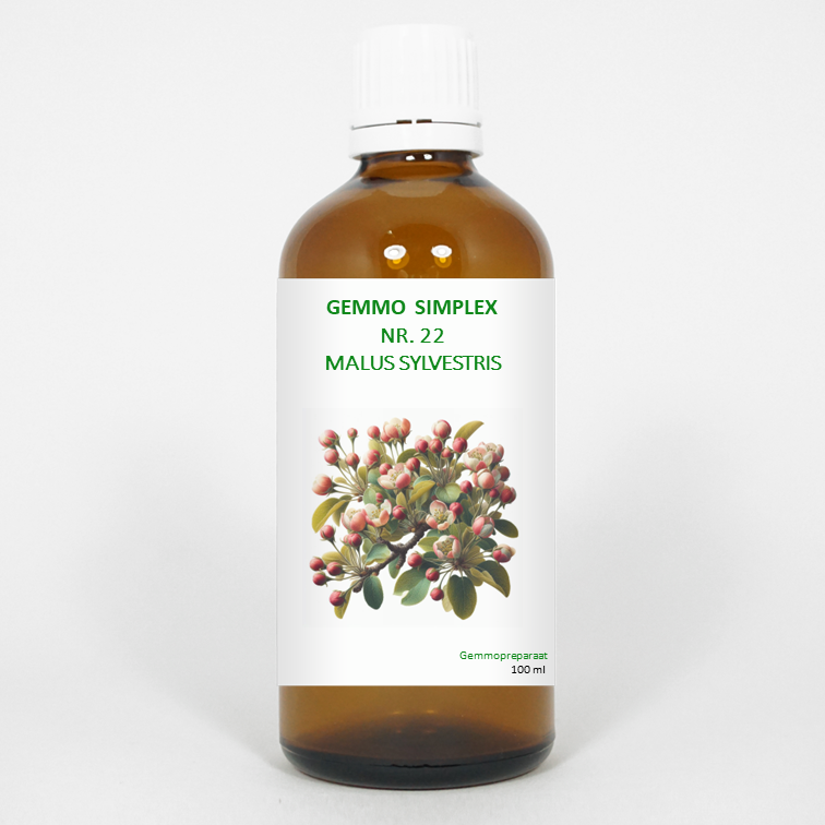 Balancepharma Gemmo simplex 22 Malus sylvestris 100 Milliliter
