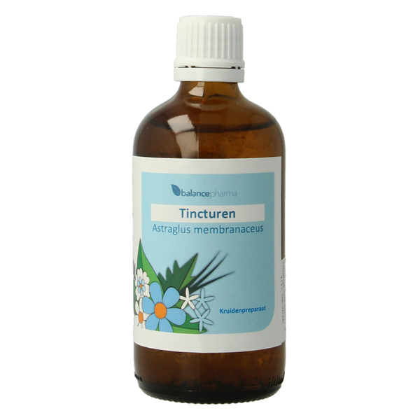 Balancepharma Astragalus membranaceus tincturen 100.00 Milliliter