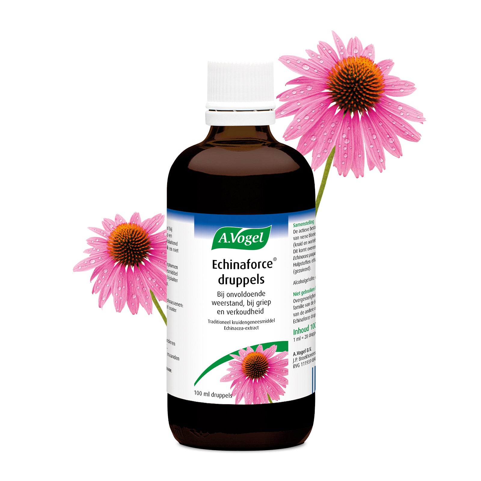 A Vogel Echinaforce druppels 100 Milliliter