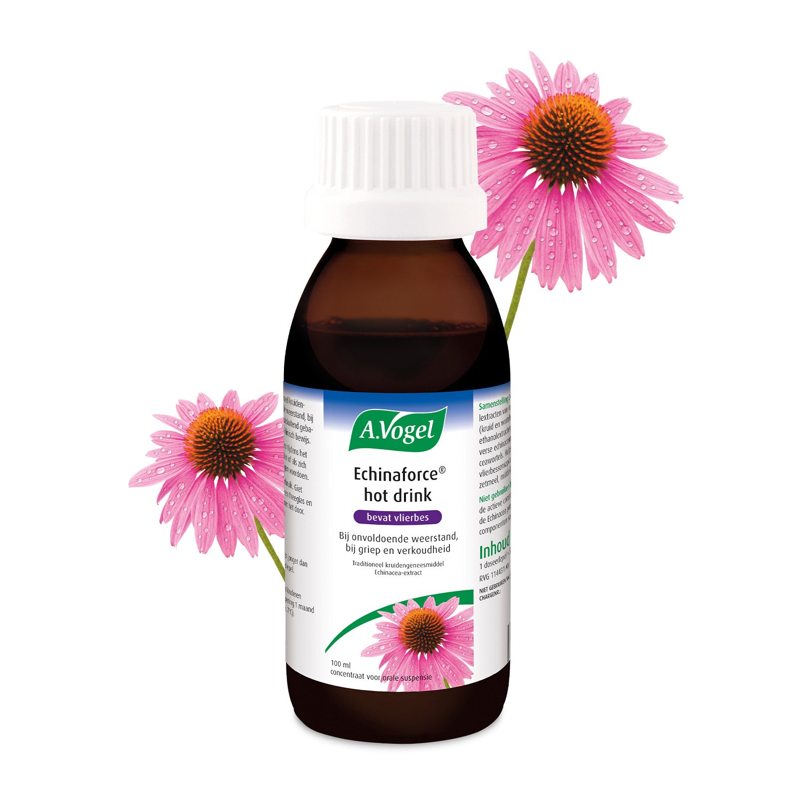 A Vogel Echinaforce hotdrink 100 Milliliter