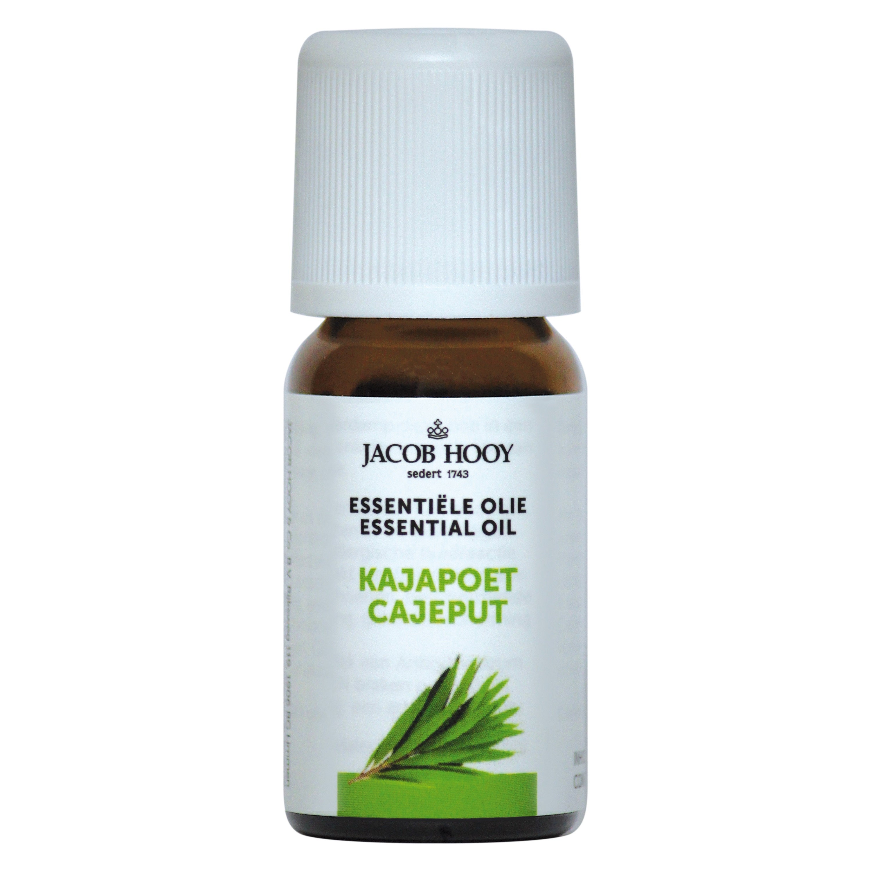 Jacob Hooy Kajapoet olie  10 Milliliter