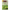 Terschellinger Groene thee cranberry bio 18.00 Zakjes