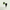 Volatile Ravensara 5.00 Milliliter
