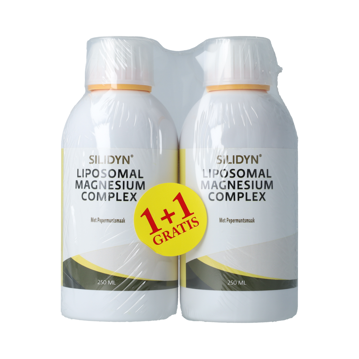 Silidyn Liposomal Magnesium Compl 250ml AKTIE 1+1 gratis 500.00 Milliliter