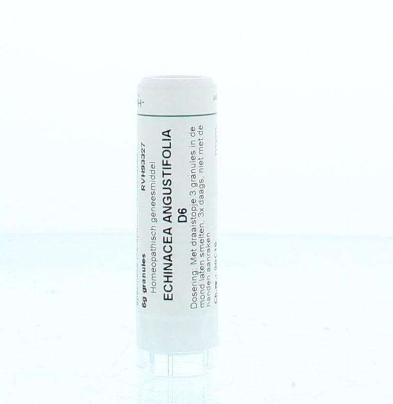 Homeoden Heel Echinacea angustifolia D6 6 Gram