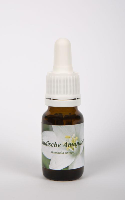 Star Remedies Indische amandel 10.00 Milliliter