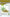 Biotona Hemp raw hulled seeds bio 300.00 Gram
