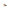 Uoga Uoga Eyeshadow 716 fluffy wombat 1.00 Gram